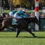 Western Fold Wins American Grand National Steeplechase at Far Hills